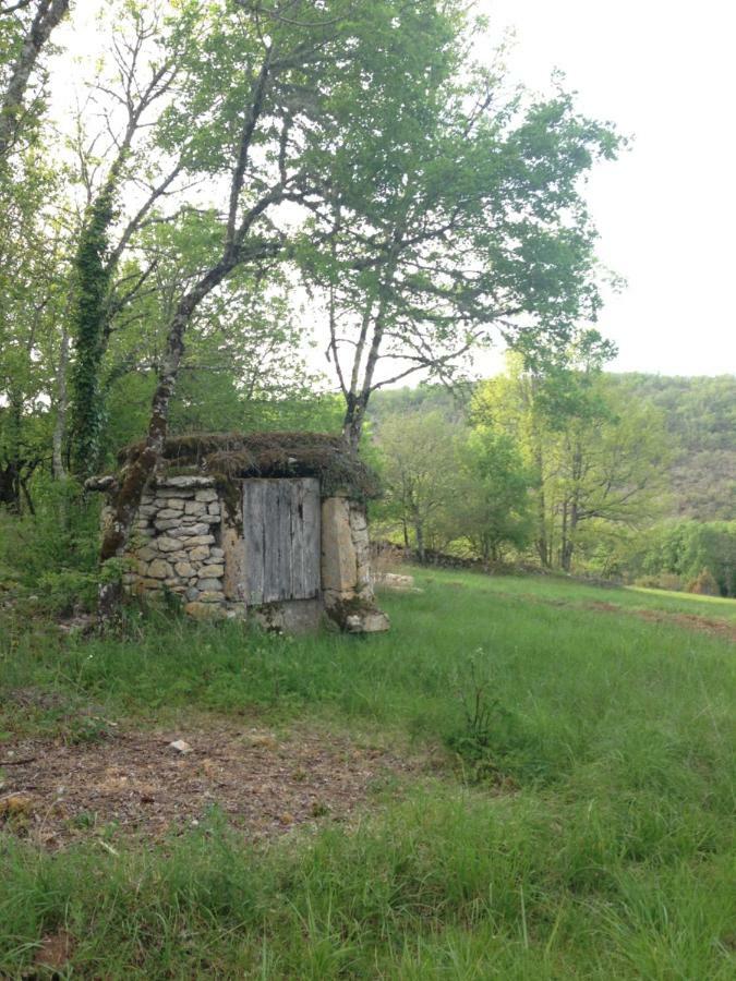 Penzion La Roulotte Clerelu - Du Domaine Des Ramonets Cahors Exteriér fotografie
